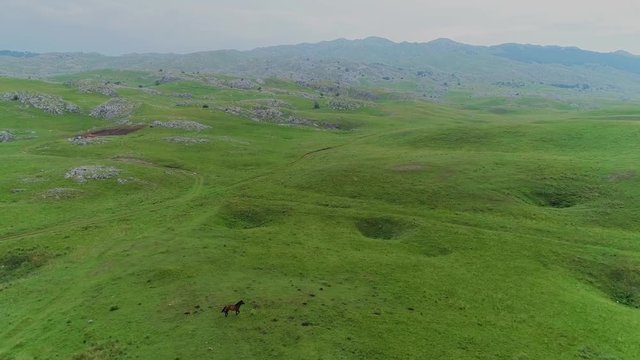 horse following aerial shot in the Bosina and Herzegovina mountains
