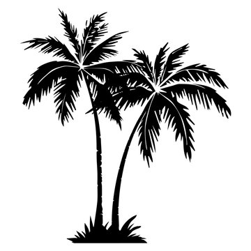 Palm tree silhouette. 2 palm trees isolated on white background. Vector illustration. for print, icon design, web, home decor, fashion, surface, graphic design