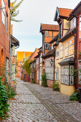 Fototapeta na wymiar Street with Medieval old brick buildings. Luneburg. Germany