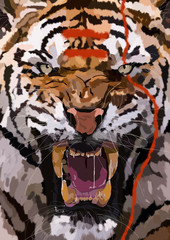 tiger