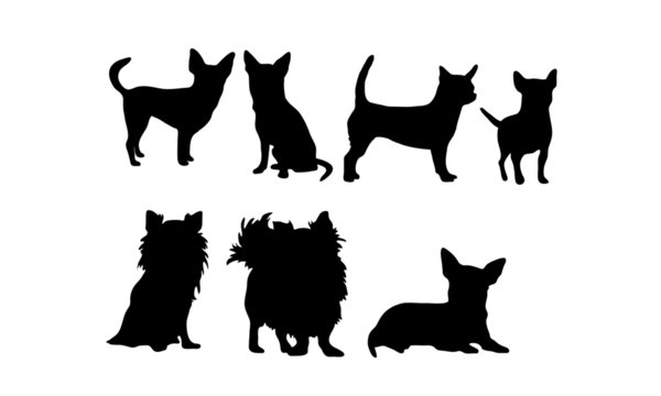 Chihuahua Icons Vektoren