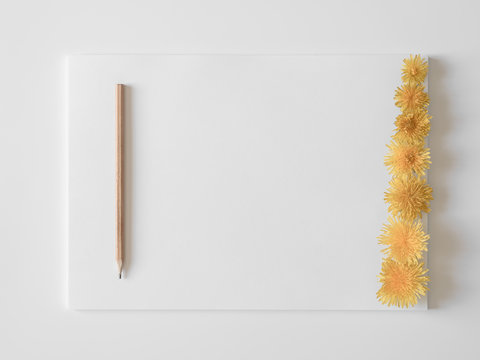 White sheets of paper and a yellow pencil on a white background with yellow dandelion flowers. Minimal concept, copy space.