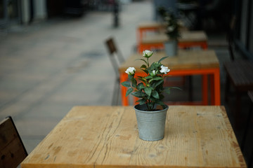 flowers on outdoor table