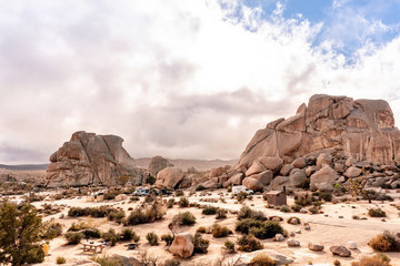 Outstanding Joshua Tree National Park landscape with wild rock formations and desert fauna. California, USA.