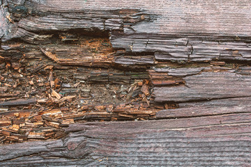 Wooden rough boards Old damaged wooden texture Woody background