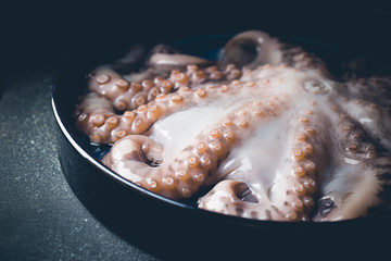 Fresh raw octopus in a bawl on dark stone background close up