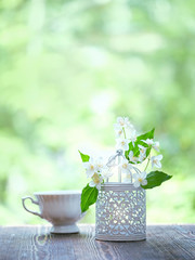 beautiful gentle spring or summer still life with Cup of tea and Jasmine flowers on abstract green natural background. summer season, tea party. close up. copy spase