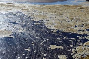 Old stale sea foam on a coastal lagoon water surface