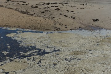 Old stale sea foam on a coastal lagoon water surface