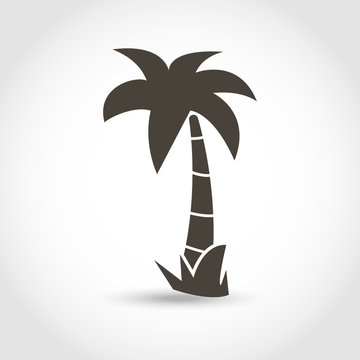Vector palm tree black silhouette isolated on a white background