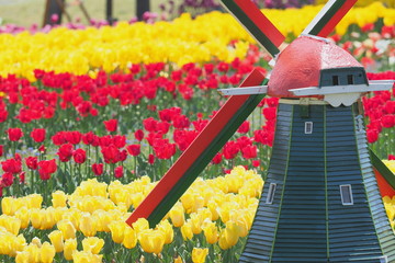 観覧車とチューリップ