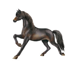 cheval noir,  isolé, animal, étalon, mammifère, courir, chevalin, ferme, galop, crin, poney, amoureux des chevaux, course, andalou, nature, illustration, sauvage, poulain, course, jument, beau