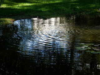 Fototapeta na wymiar reflections in water