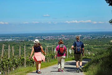 Wandern bei Durbach