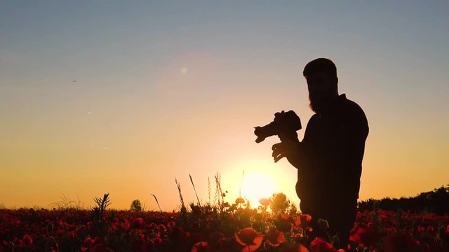 Silhouette di un fotografo uomo in mezzo a un campo di fiori rossi al tramonto. video al rallentatore.
