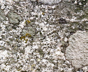 Perfect and colorful stone texture.
