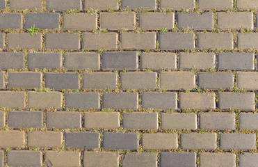 Old cobblestone road of big stones.