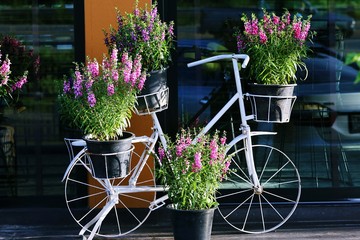 Fototapeta na wymiar Vintage bicycle and flowers closeup outdoor