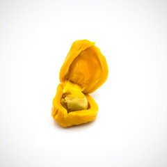 Fruit jackfruit Isolated on the white background.