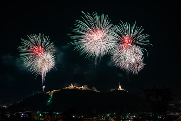 Beautiful colorful firework display on dark sky for celebration night 