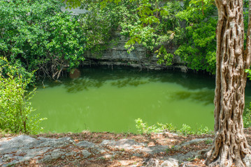 Cenote, taken in the archaeological area of Chichen Itza, in the Yucatan peninsula