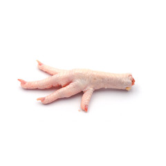 Fresh chicken feet Isolated on the white background.
