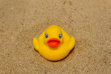 Fototapeta na wymiar Yellow rubber toy ducks on sand beach at the seaside.