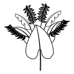 botanical leaf foliage arrangement