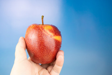 A fresh red apple fruit holding in hand, blue sky background and copy space