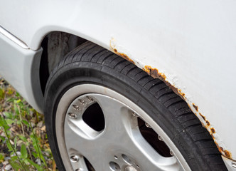 Roststelle am Kotfl&uuml;gel