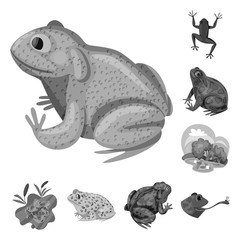 Vector design of wild and nature symbol. Collection of wild and bog stock symbol for web.