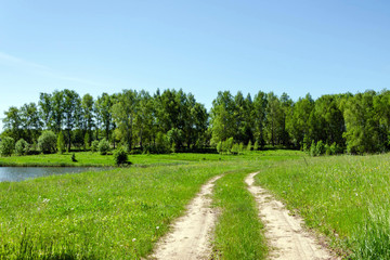 Fototapeta na wymiar Beautiful Country road in forest