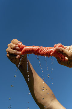 |Hands Squeeze Water Out Of Pink Cloth.