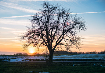 Fototapeta na wymiar Winter wonderland in germany at sunset