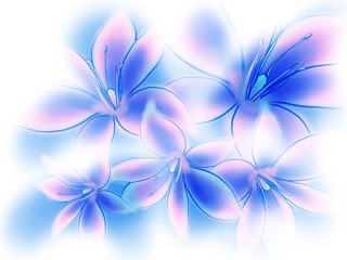 gentle colored background with a floral composition in the style of the sketch