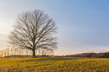 Winter wonderland in germany at sunset
