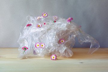 world environment day, plastic waste recycling, plastic warp with beautiful pink fresh wildflowers daisy flowers on wooden table
