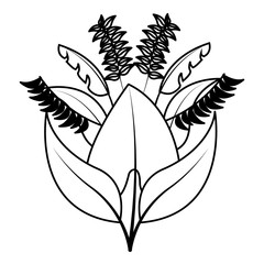 botanical leaf foliage arrangement