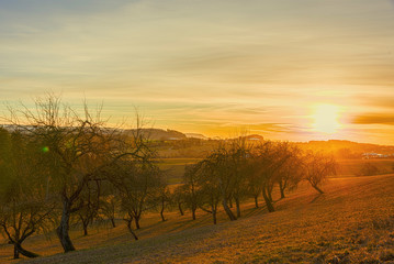 Obraz premium Winter wonderland in germany at sunset