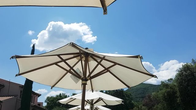 tilting shot of white umbrellas in the garden with blue sky in the background