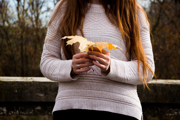 autumn leaves in woman hands