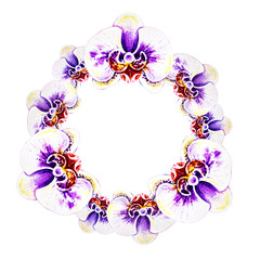 Beautiful  wreath from orchid flowers. Watercolor painting. Exotic plant. Floral print. Botanical composition. Wedding and birthday. Greeting card. Flower painted background. Hand drawn illustration.