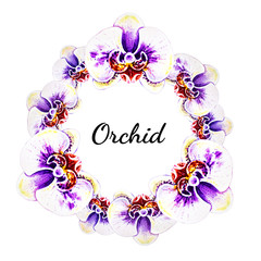 Beautiful  wreath from orchid flowers. Watercolor painting. Exotic plant. Floral print. Botanical composition. Wedding and birthday. Greeting card. Flower painted background. Hand drawn illustration.