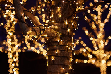 Glare and bokeh from a garland of light bulbs hanging on a tree.