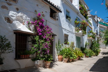 Fototapeta na wymiar Street in Algatocin typical andalusian village with white houses and flowers