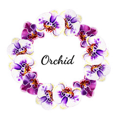 Fototapeta na wymiar Beautiful wreath from orchid flowers. Watercolor painting. Exotic plant. Floral print. Botanical composition. Wedding and birthday. Greeting card. Flower painted background. Hand drawn illustration.