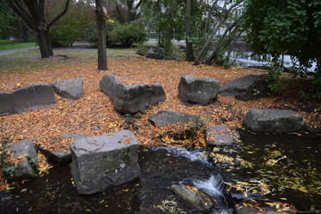 Rocks and trees next to pond in park with yellow brown leaves autumn winter colours