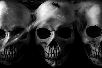 Human skulls with spider web on dark background