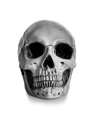 Human skull on white background
