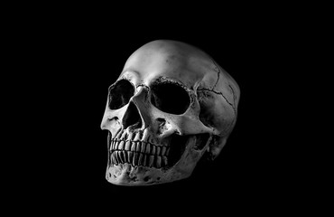 Human skull on black background